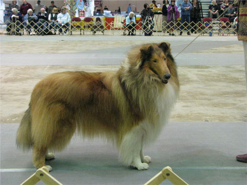 Image of Bauer