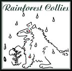 Rainforest Logo