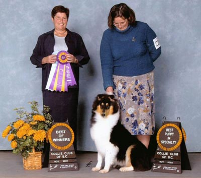 Sparkle show win image